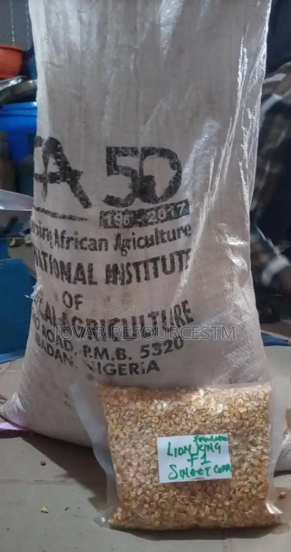 Best Sweet Corn Seeds