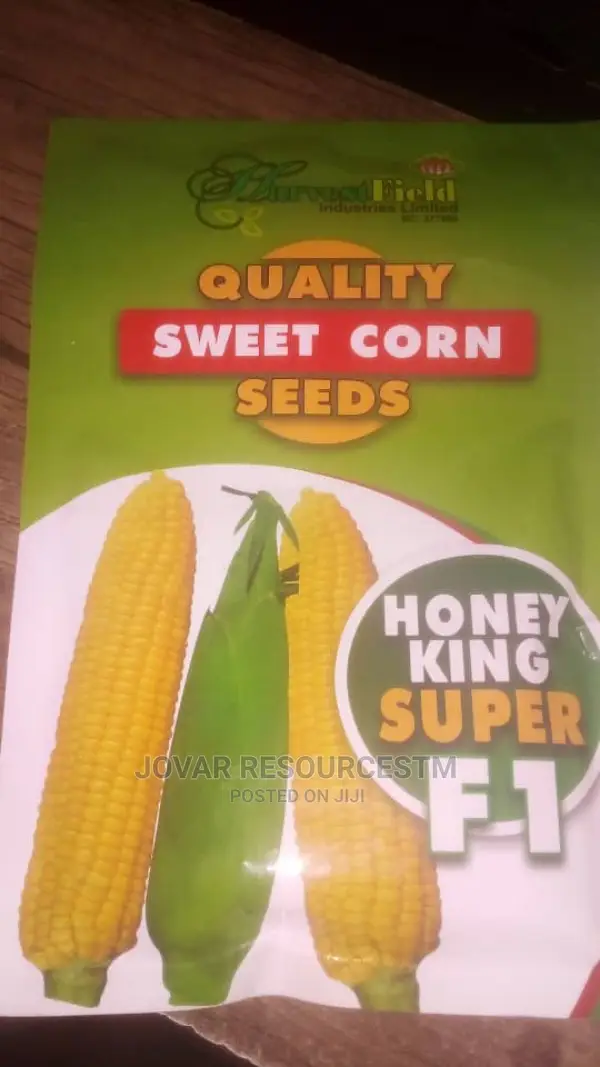 Best Sweet Corn Seeds