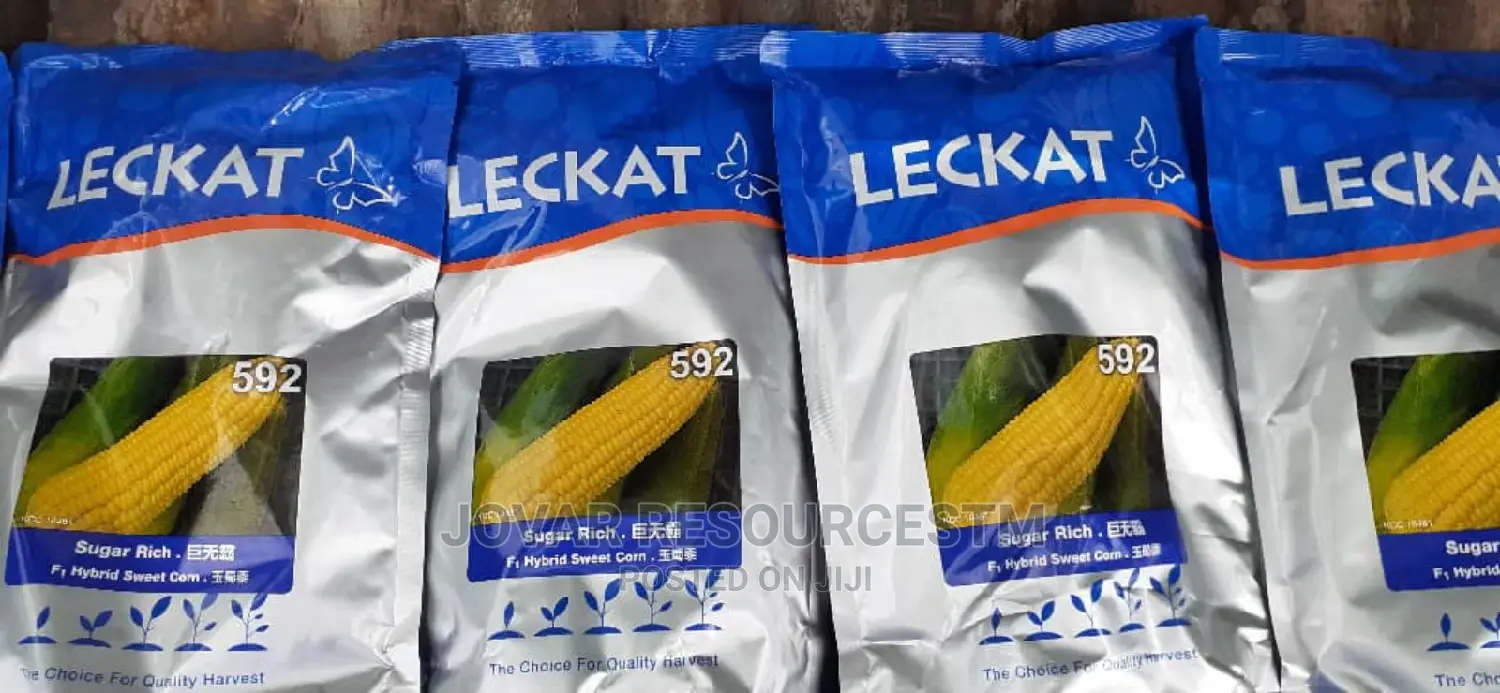 Best Sweet Corn Seeds