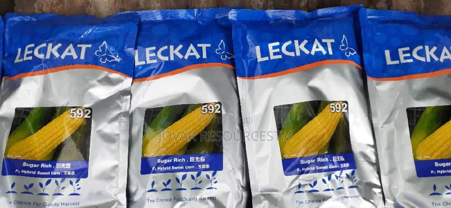 Best Sweet Corn Seeds