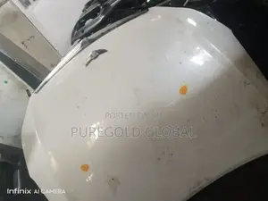 Genesis 2015 Model Bonnet