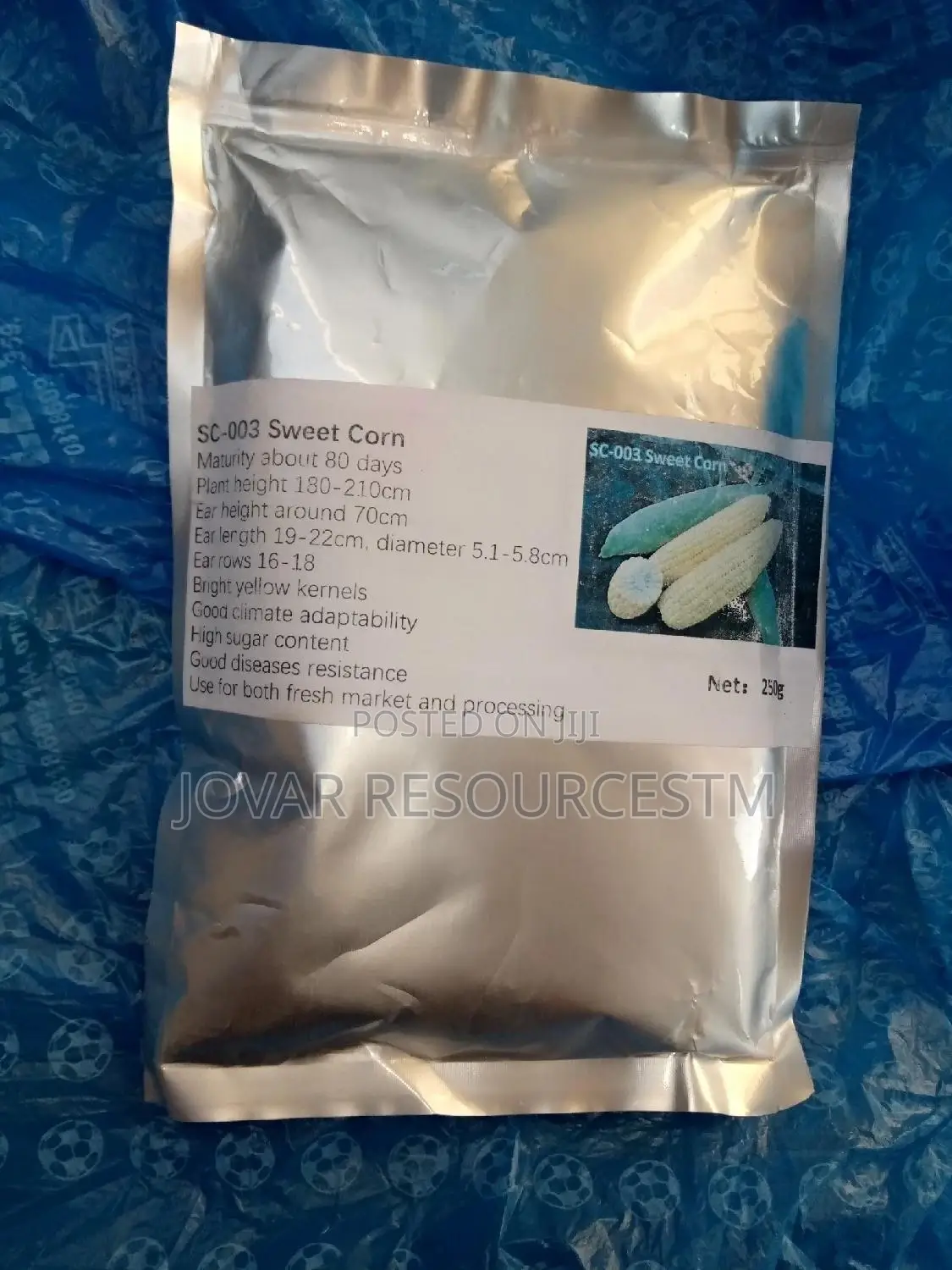 Best Sweet Corn Seeds
