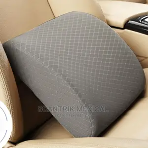Back Rest Pillow Lumbar Support