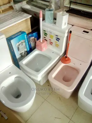 High Quality Executive Eagle Water Closet