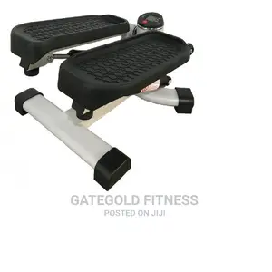 Hg307 (2-in-1) Climber Stepper