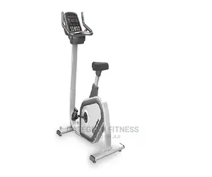 Commercial Upright Bike PU300