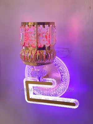 LED Wall Bracket