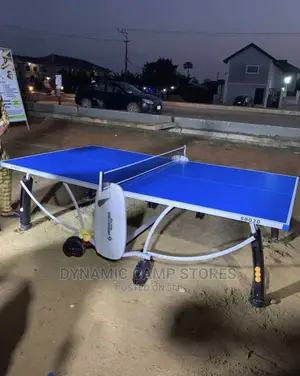 Heavy Duty Table Tennis