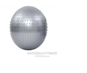 Swb75 Swiss Balls 75cm, [ Grey Pink ]