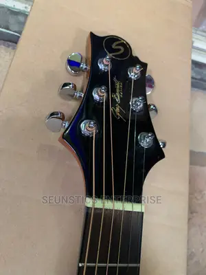 Quality Samick Greg Brennette Design Acoustic Guitar