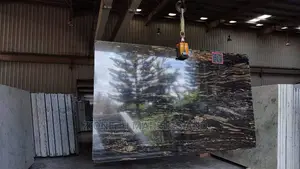 Indian High Quality Fushion Gold Granite/Marble Slab