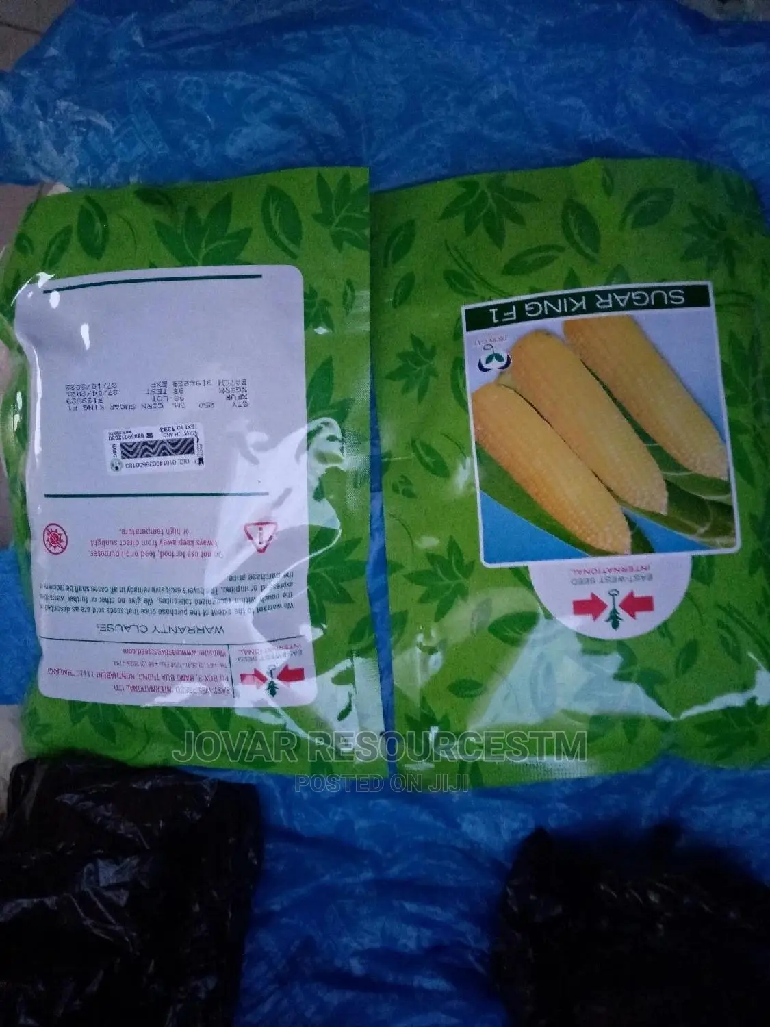 Best Sweet Corn Seeds