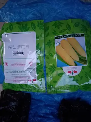 Best Sweet Corn Seeds