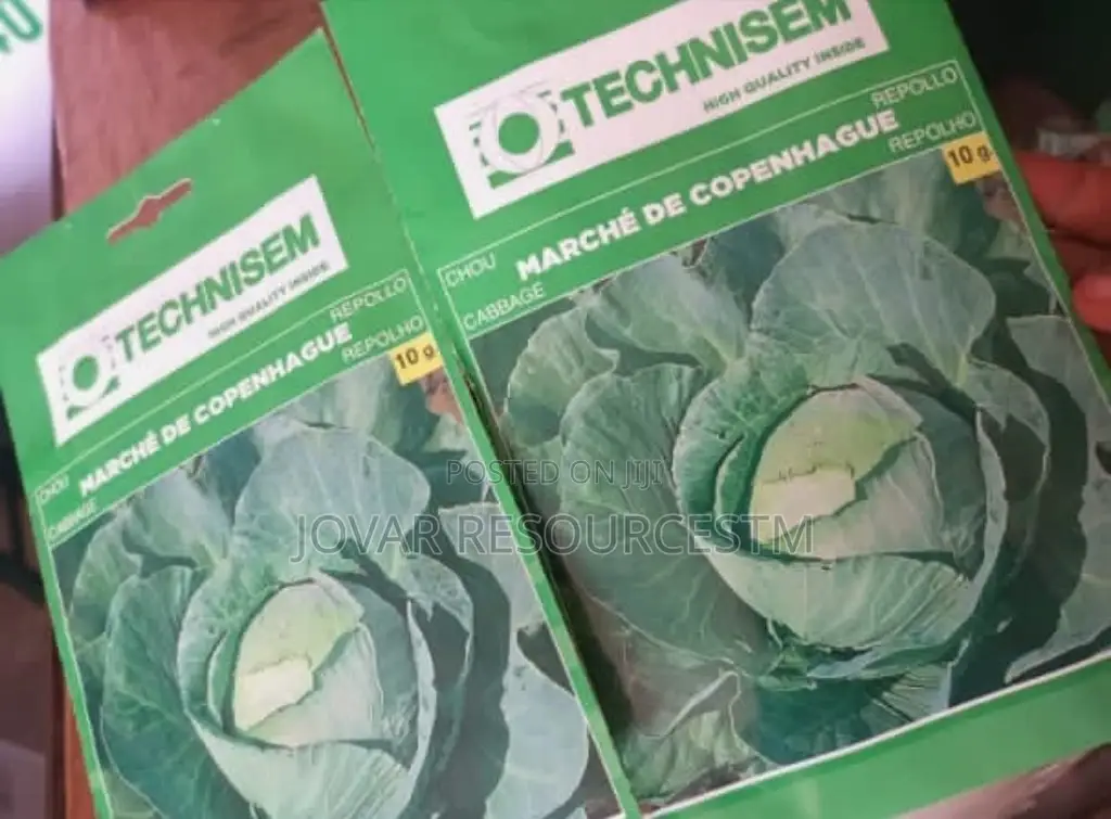 Best Cabbage Seeds of Higher Yield