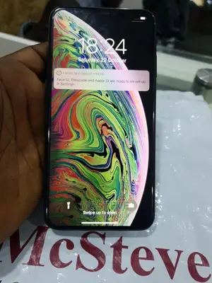 Photo - Apple iPhone XS Max 64 GB Gray