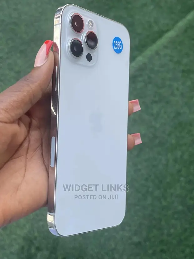 iPhone 12 Pro Max 256G ホワイト