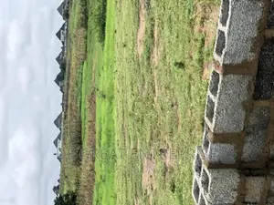 1200sqm for Sale in Kaura