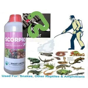 Scorpion Snake, Other Reptiles and Amphibians Killer