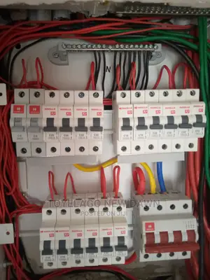 Professional Electricians