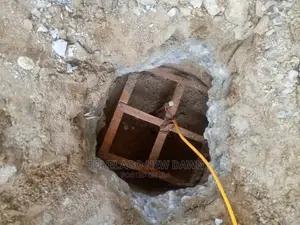 Professional Electricians