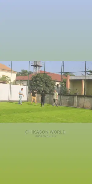 Football  Pitch Grass Carpet
