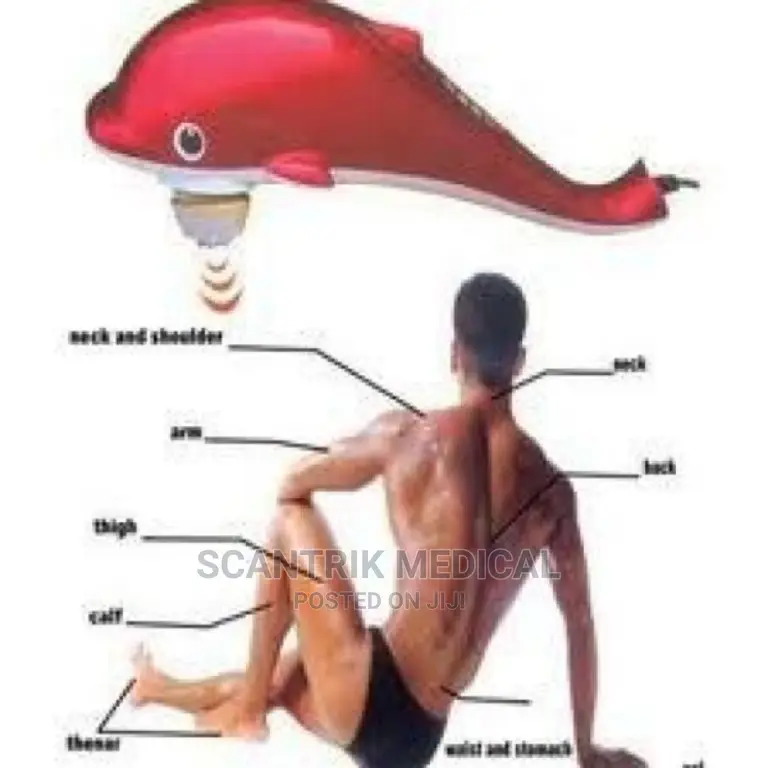 Dolphin Massage