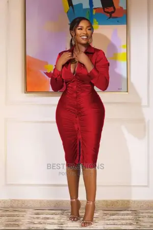 Cute Ladies Bodycon Dress