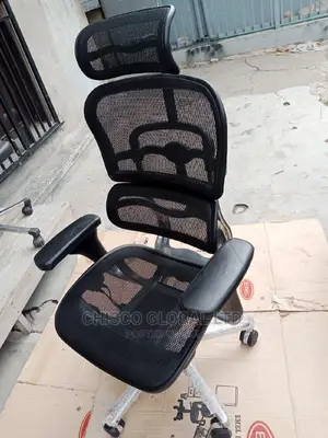 Office Chair (Orthopedic)
