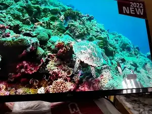 49 Inches LG Plasma Tv