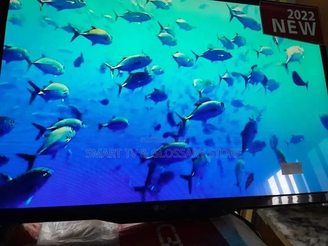 49" LG Plasma TV