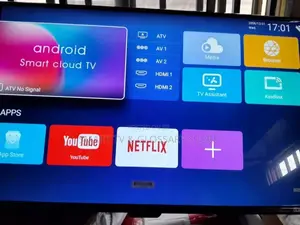 65 Inches Flat Screen Television