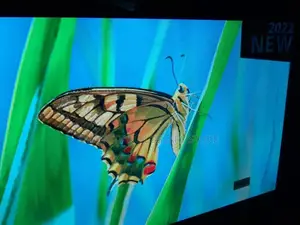 55 Inches Lg Android Wall Screen Smart Tv
