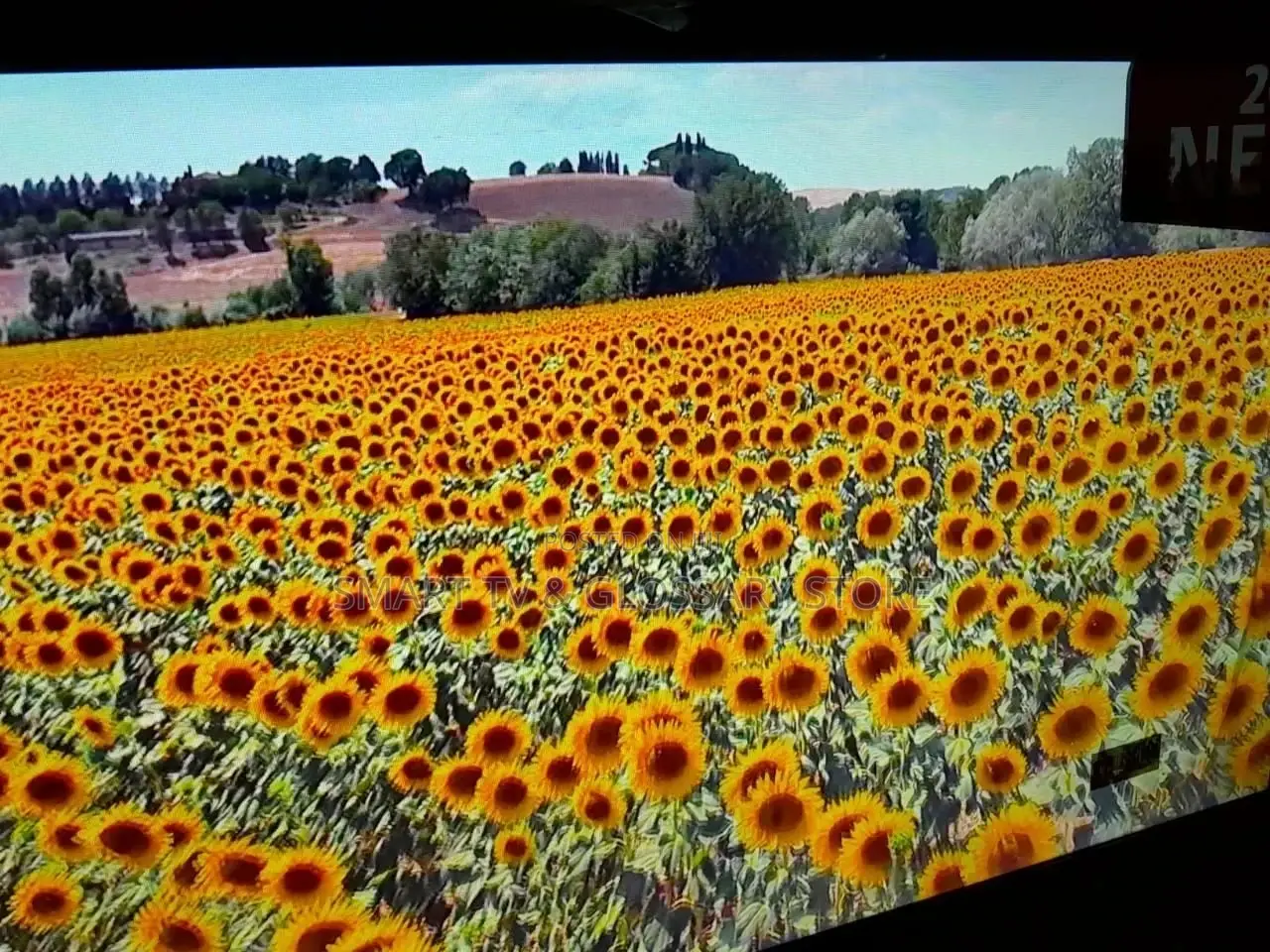 55 Inches Lg Android Wall Screen Smart Tv