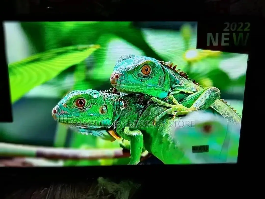 55 Inches Samsung Wall Screan Television