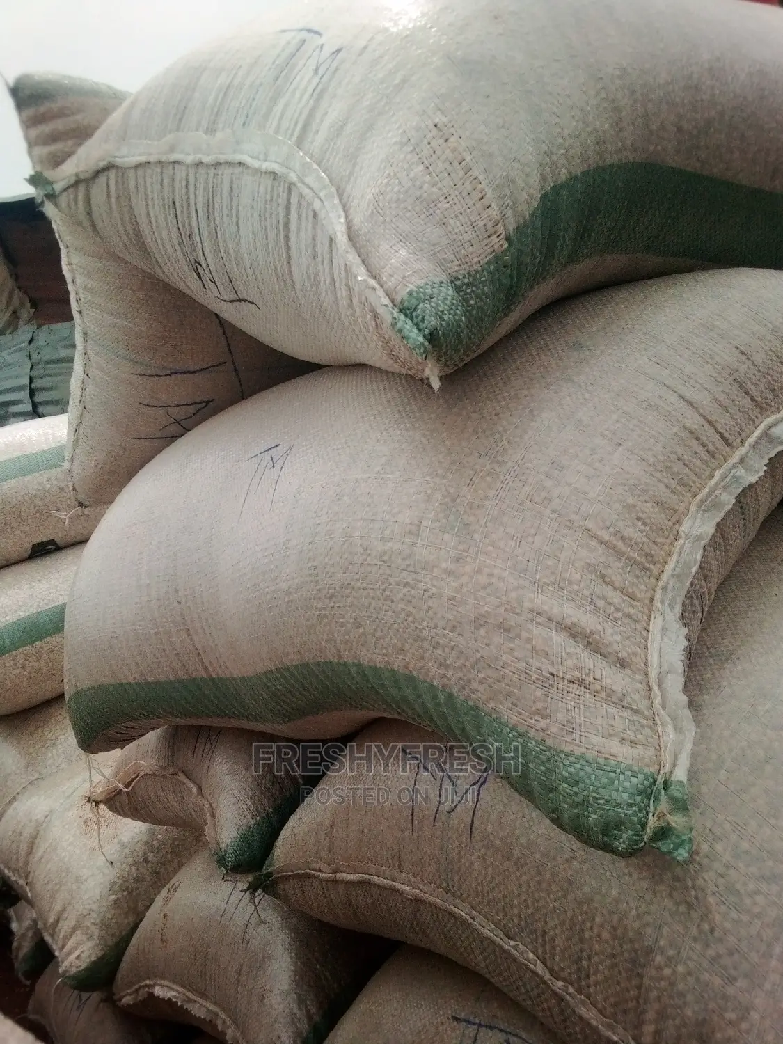 1000 Tons Soybeans for Sale