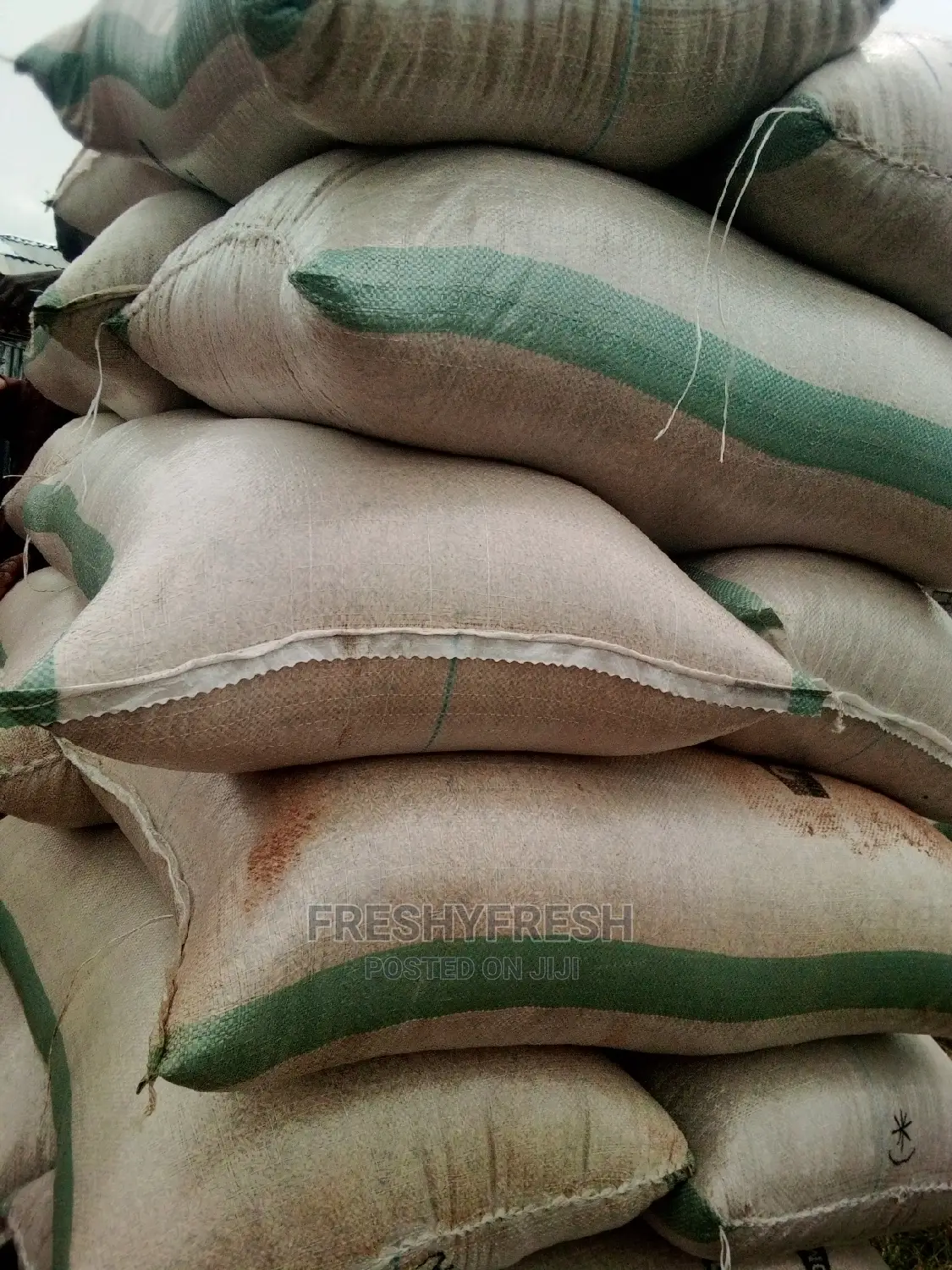 Rice Paddy