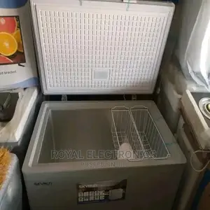 Newly Branded Skyrun Bd-300hnw 300L Chest Freezer