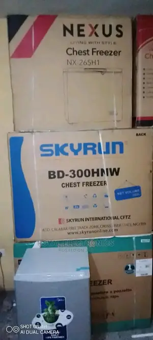New Commercial Skyrun Bd-300hnw 300L Chest Freezer