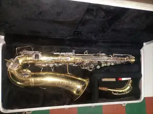 Buescher Aristocratic Tokunbo Professional Alto Saxophone