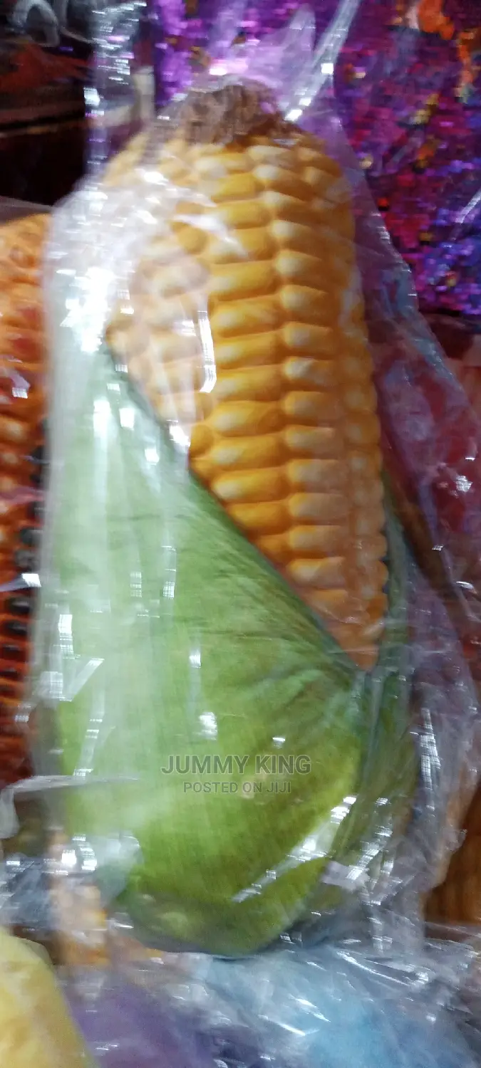 Decorative Embroidered Throw Pillow 
Corn
