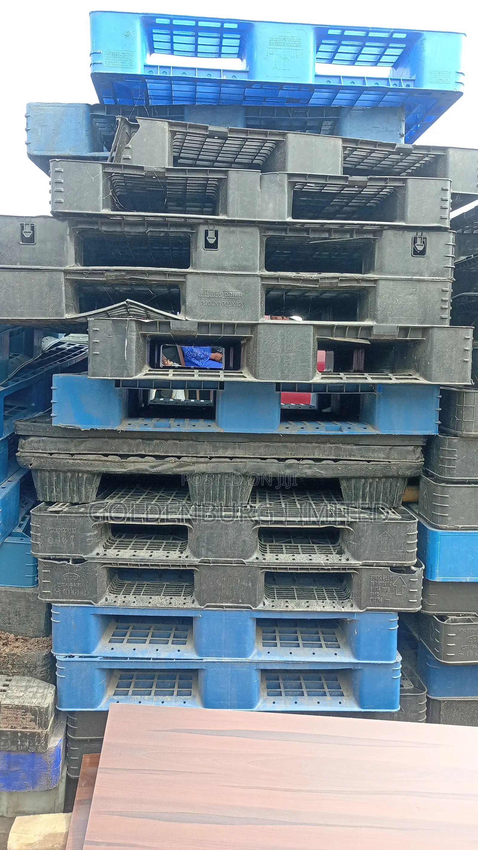 Plastic Pallets