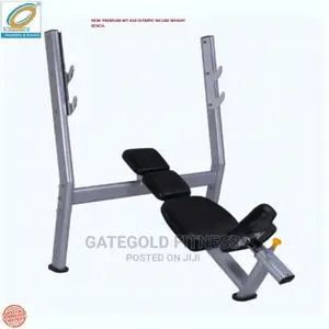 Wt-A50 Inclined Weight Bench (Premium)