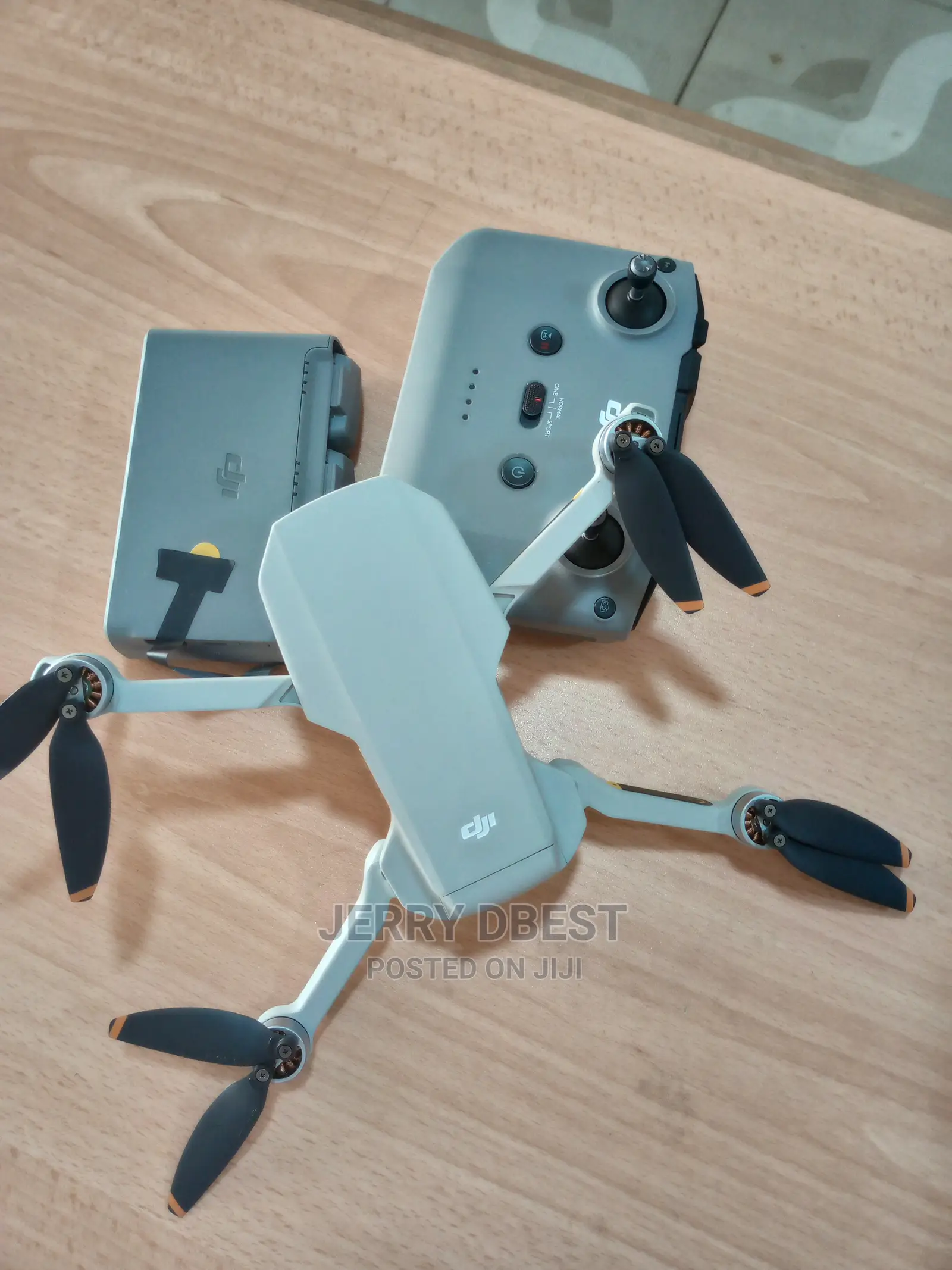 Drone Service With Pilot