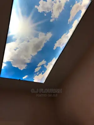 Uniquely Made 3D Stretch Ceiling