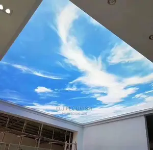 Outstanding 3D Stretch Ceiling Just for You