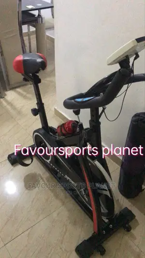 Standard Spinning Exercise Bike