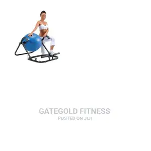 EB01 Ab Exercise Ball0