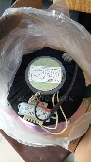 Ceiling Speakers Ahuja