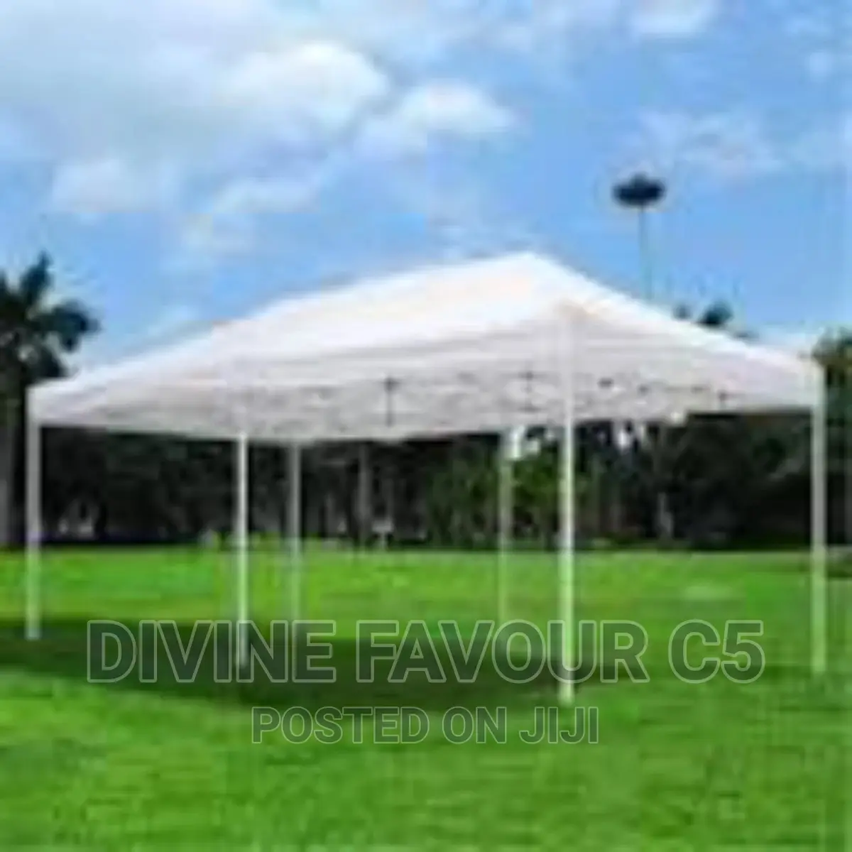 Foldable Canopy