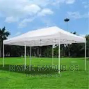 Foldable Canopy